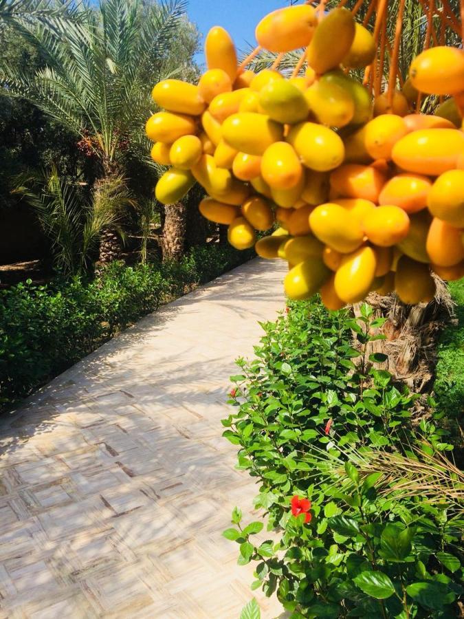 Riad Le Jasmin تارودانت‎ المظهر الخارجي الصورة