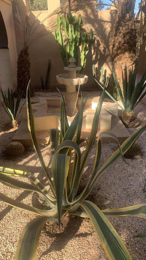 Riad Le Jasmin تارودانت‎ المظهر الخارجي الصورة