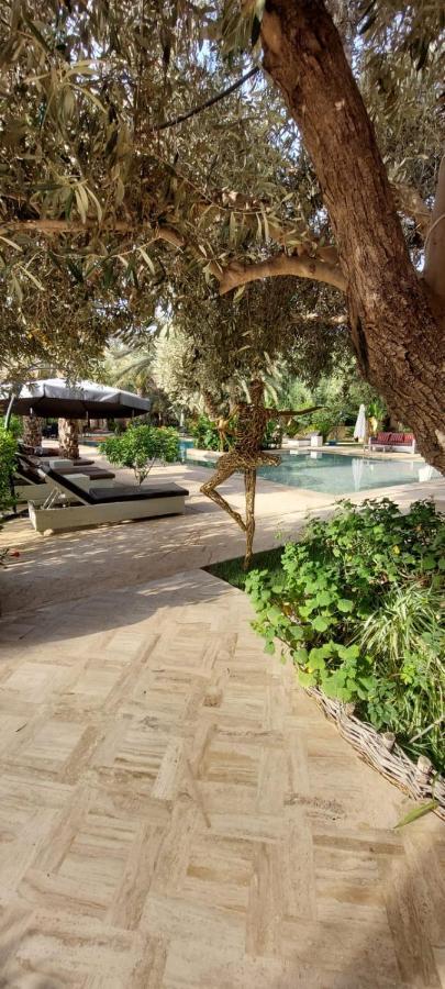 Riad Le Jasmin تارودانت‎ المظهر الخارجي الصورة