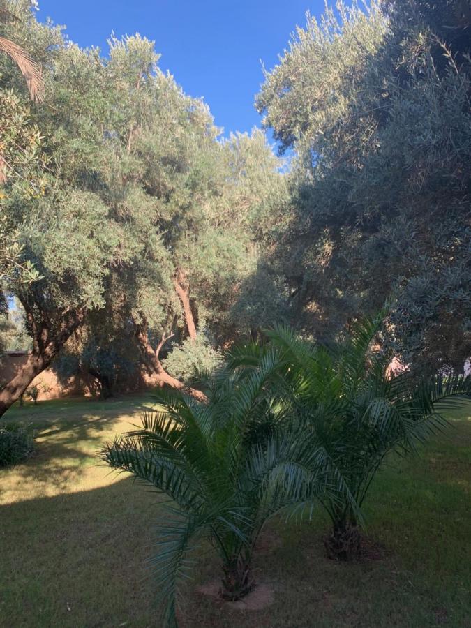 Riad Le Jasmin تارودانت‎ المظهر الخارجي الصورة