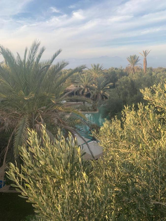 Riad Le Jasmin تارودانت‎ المظهر الخارجي الصورة