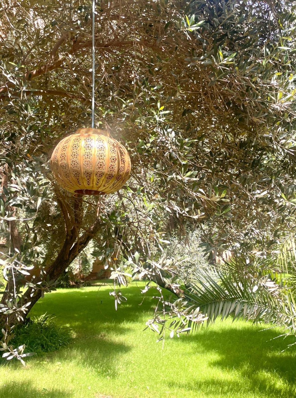 Riad Le Jasmin تارودانت‎ المظهر الخارجي الصورة