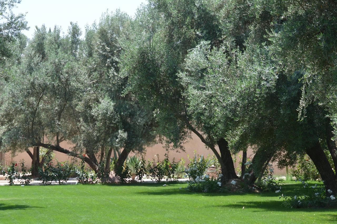 Riad Le Jasmin تارودانت‎ المظهر الخارجي الصورة